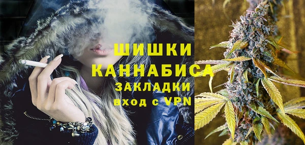 2c-b Богородицк