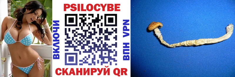 наркошоп Горнозаводск Галлюциногенные грибы Cubensis